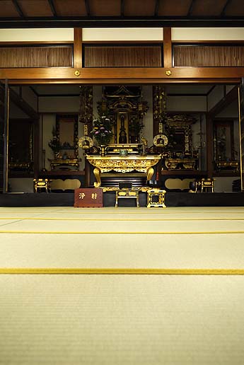 �V�R�����@�Ђ̂�����