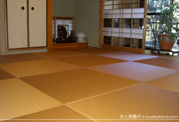 ���@���o�����@��׳ݐF