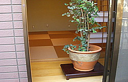 �J���[�����s����