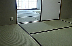 ��@���s�v�̂�����