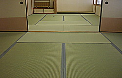 �V�R�f�ށ@�����\