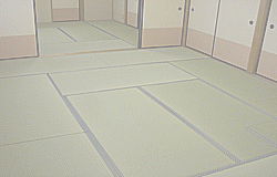 �������\�ւ�