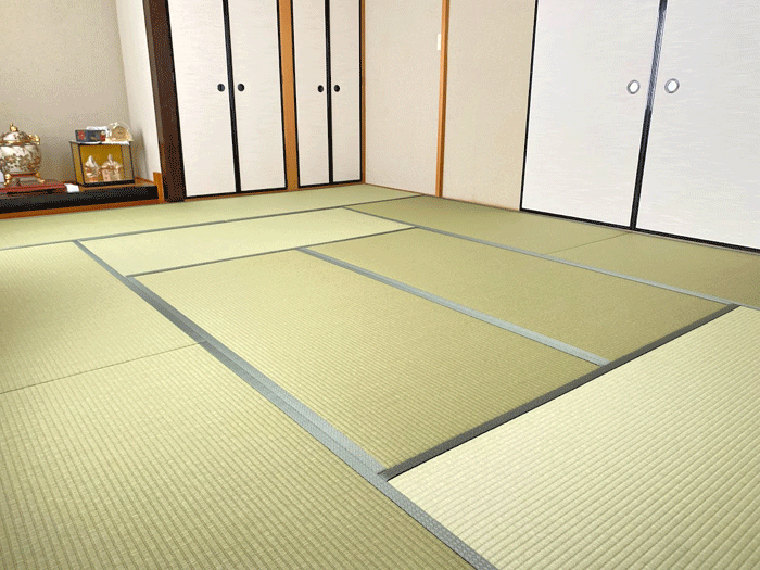 ���������݋��