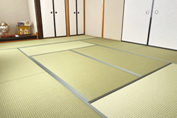 �ϐF���Ȃ��a����