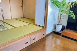 ���@�_�C�P���a���s��