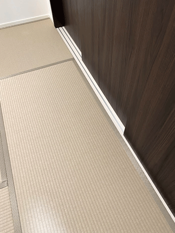 �����ˁ@�t���[�����O�ɏ�