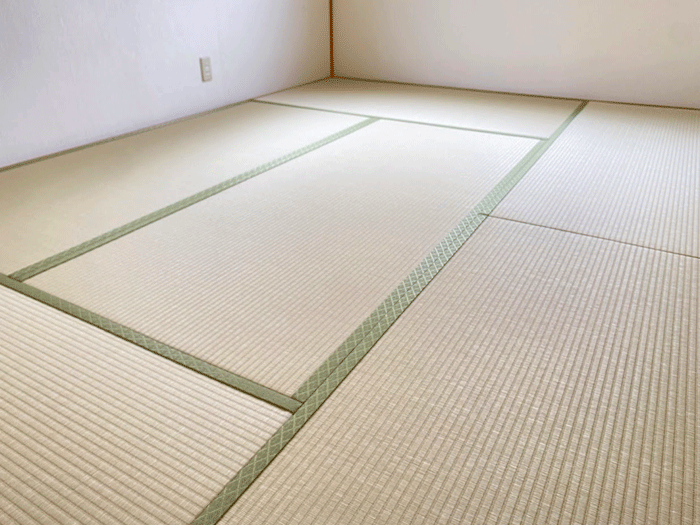 �_�C�P���a����ɒ���