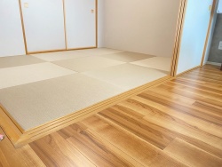 �_�C�P���a����@����