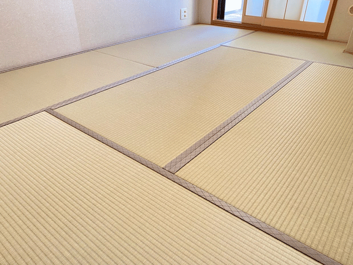 �_�C�P���a����ɒ���