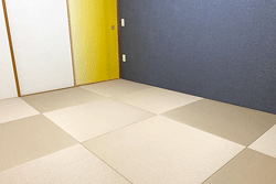 ������ꗮ����