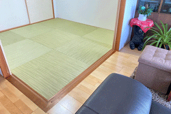 ��g�@���