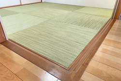 �_�C�P����g�@�V��