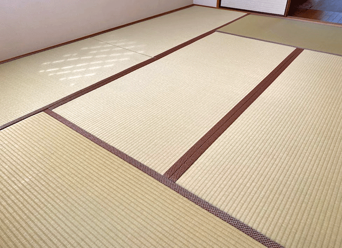 �_�C�P���a����@���