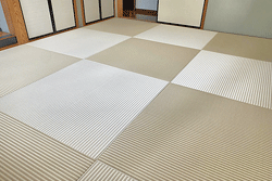 �X�g���C�v��