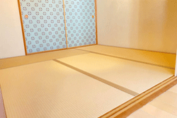 �J���[��@���