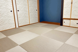 �_�C�P����@�D���F