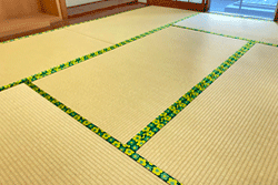 �����a����@6�p