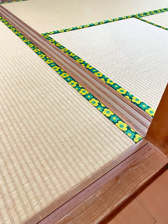 �_�C�P����@��㐻��