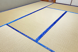 �����Ȃ̏�