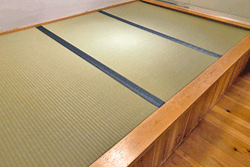 ���オ���̒���