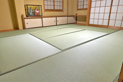 い草からダイケン銀白