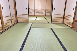 �޲�ݘa����@�V��