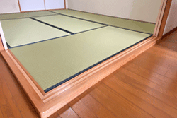 �_�C�P���a�����V��