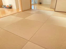 �����J�N�e���t�B�b�g�ڐϐD