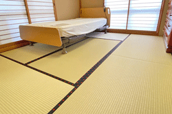 �����ݐV���@�I�[�_�[���C�h��