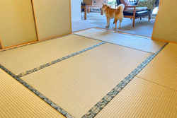 �y�b�g��ɂ��œK