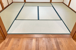 ��������Ȃ��_�C�P����