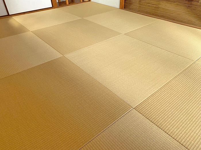 �����\������