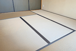 �����݂̒���