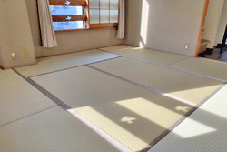 ��v�Șa����