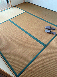 �����Ï�