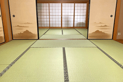 �a����̒���