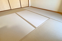 �D���F�̃J���[��