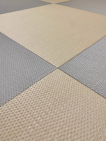 �ς��D�̏�