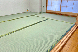 �����Y����������