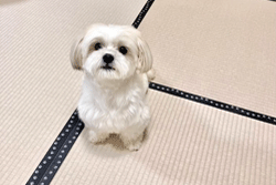 �đ��Y�N�Ə�