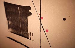 �z�O�a�����u��