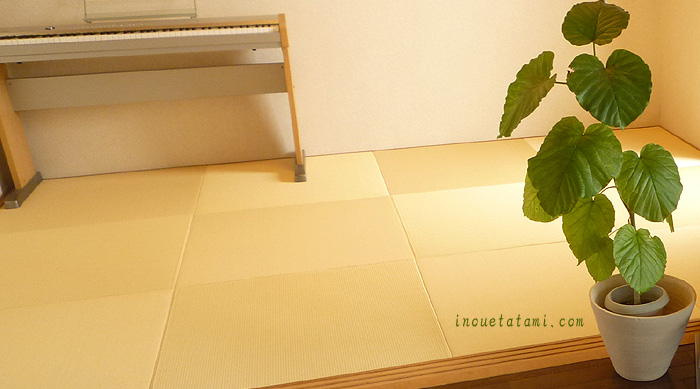 �������ȗ�������