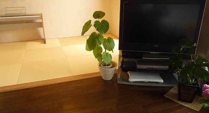 ���������@ײĲ�۰