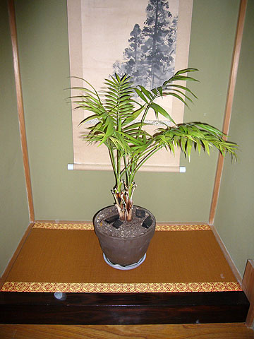 ���̊ԁ@��������