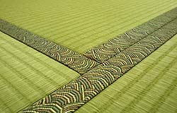 ���N���K������