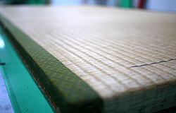 ���\�ւ��{�H�O