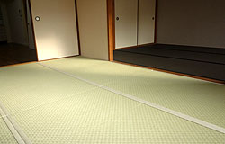 ���@���o������\