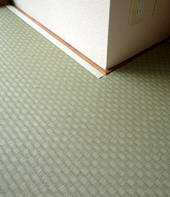 ���^�؍��݁@500�~