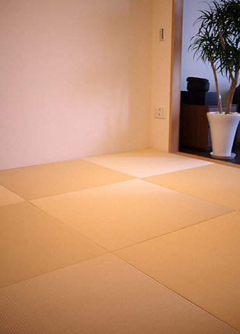 �װ��@��������