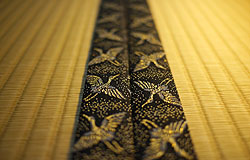 �ō����􉏁E������